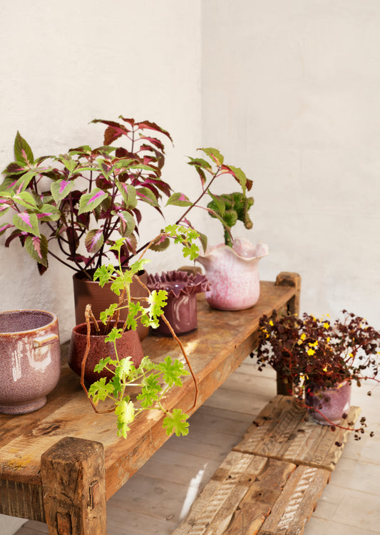 Ruffle Glass Flower Pot - Plum