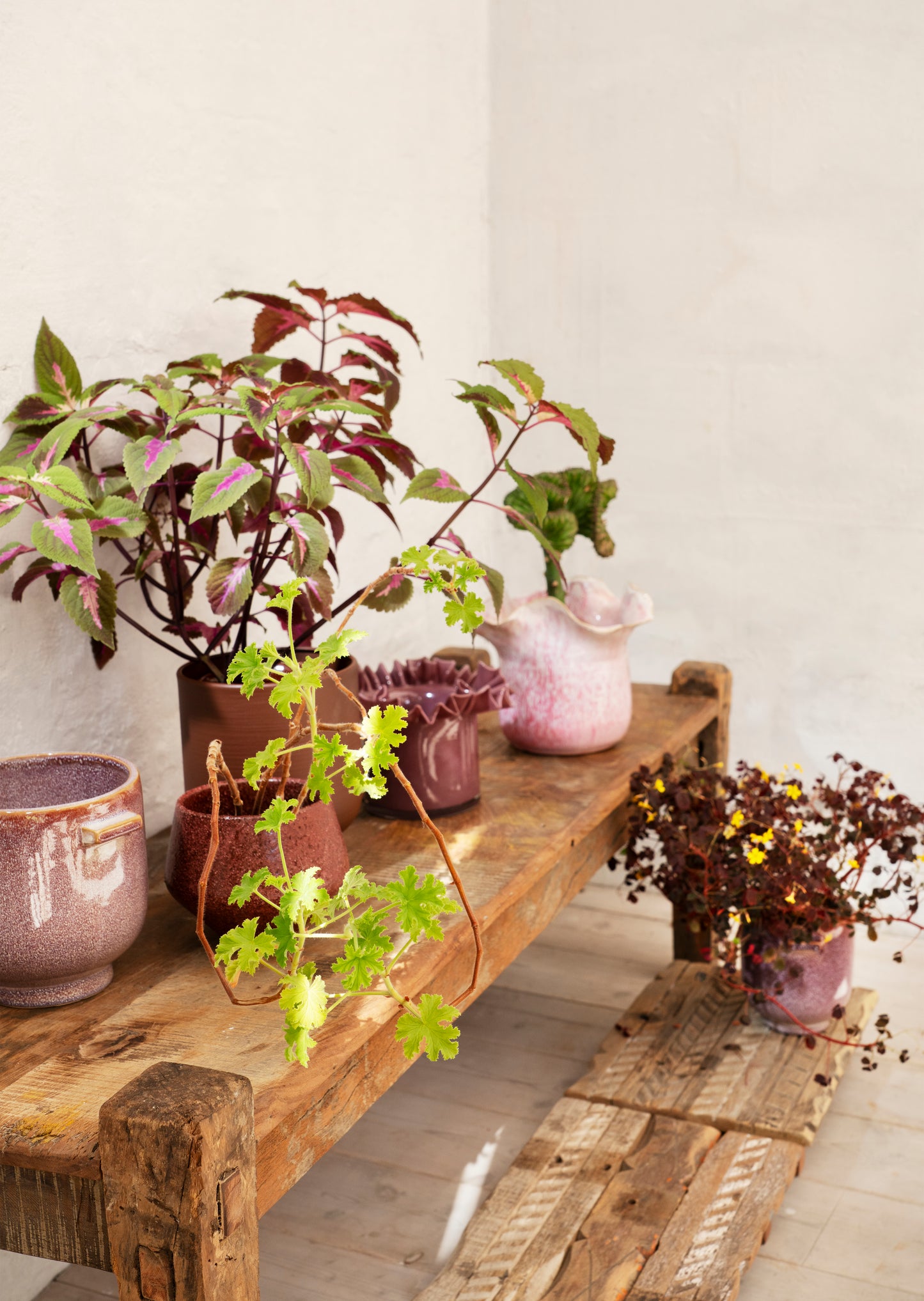 Ruffle glass flower pot in plum | Minerva Interiors